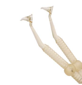 صورة منتجات طب الأسنان التجميلي الأخرى