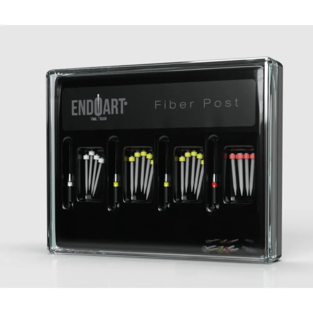 Endo Art Fiber Post Assorted (20 عبوة)