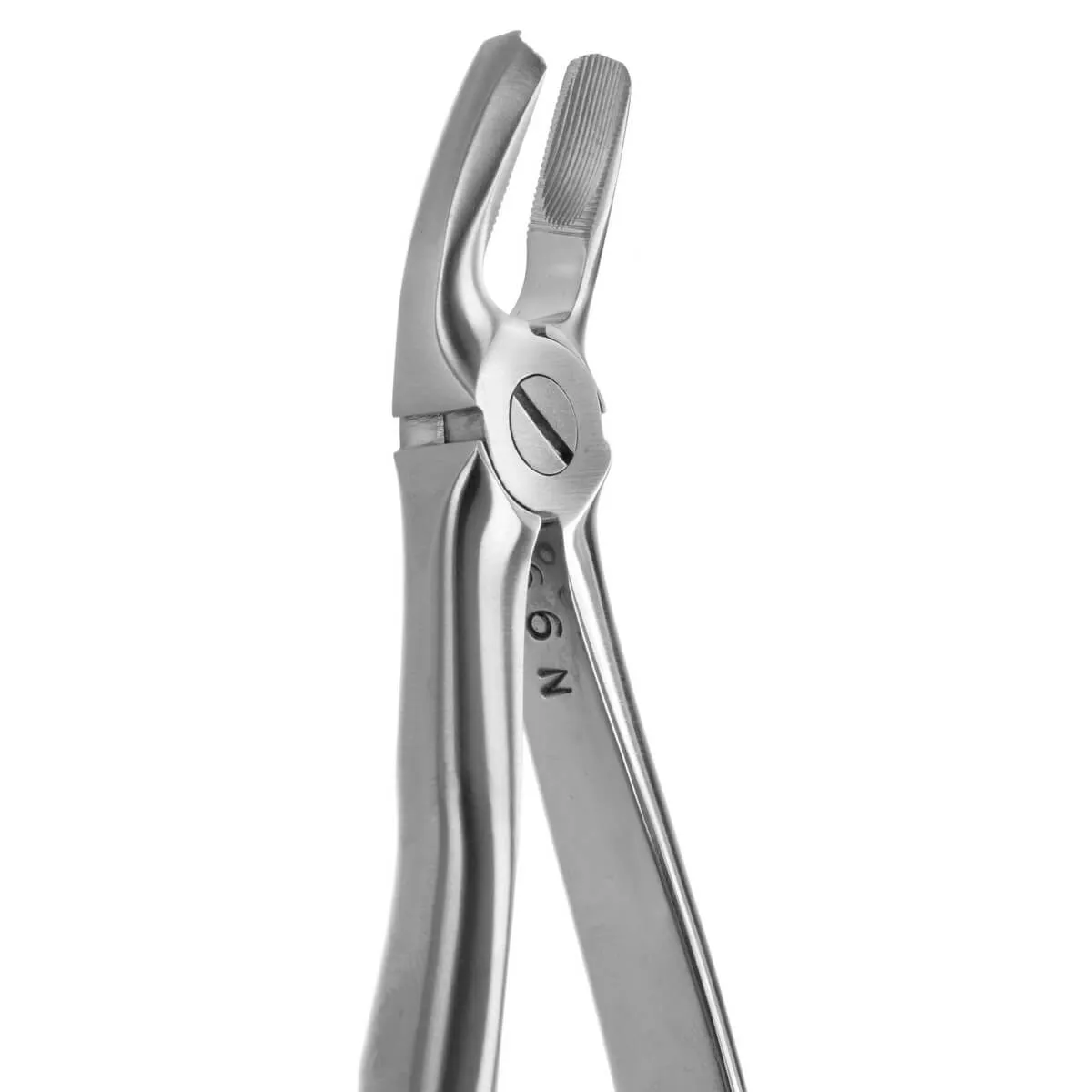 Tooth Forceps Blade Beaks N.17
