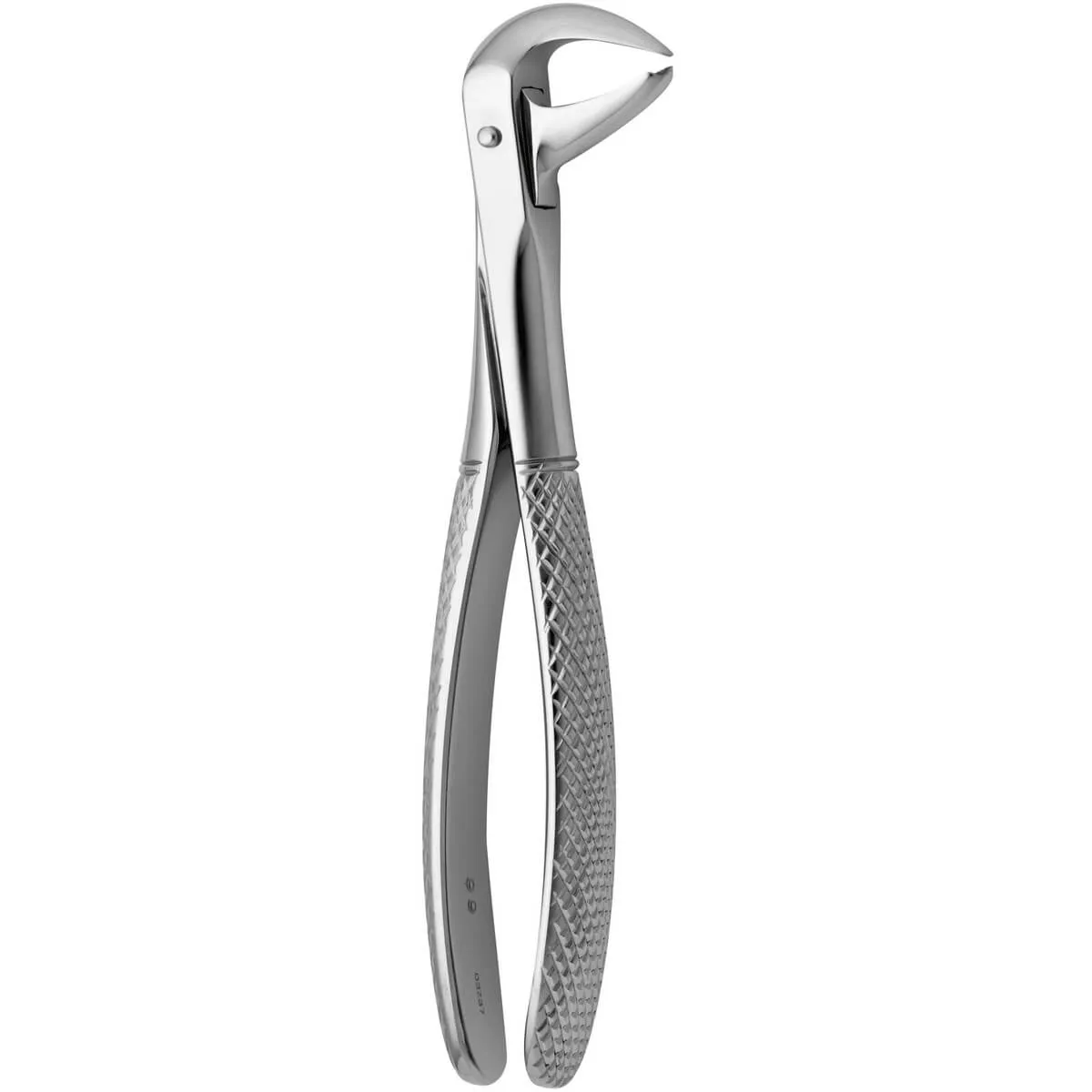 Tooth Forceps Cow Horn N.99
