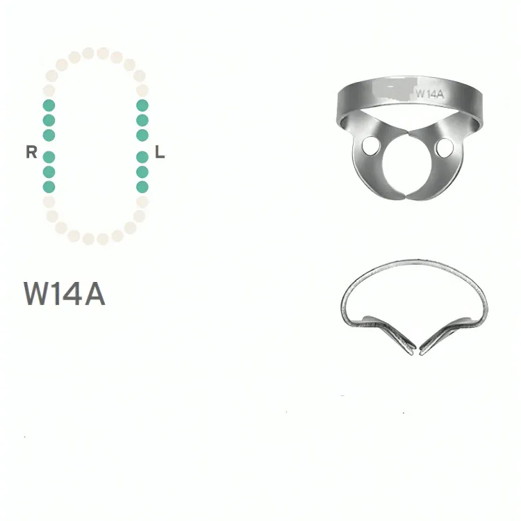 Rubber Dam Clamp #W14A, Wingless for Partially Erupted/Irregular Molars