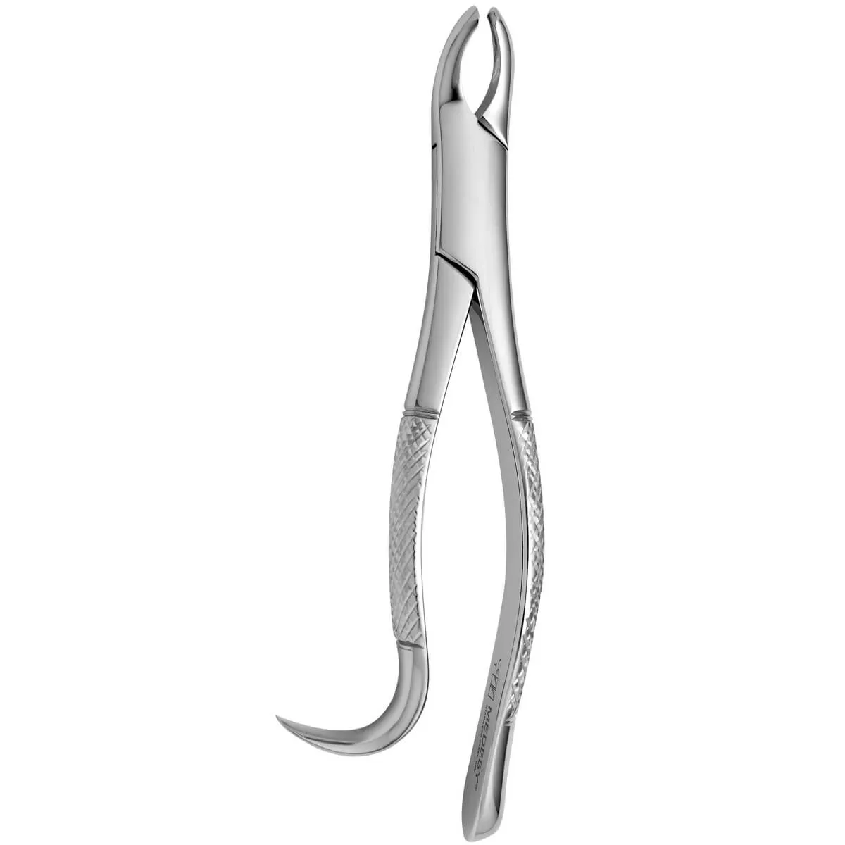 Tooth Forceps American N.24