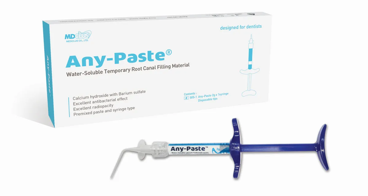 Any-Paste, Temporary Root Canal Filling Paste, 2g Syringe