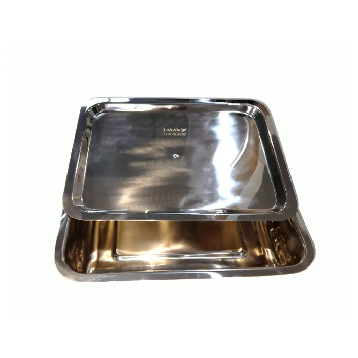Instrument Tray with Lid, 320 x 200 x 55 mm