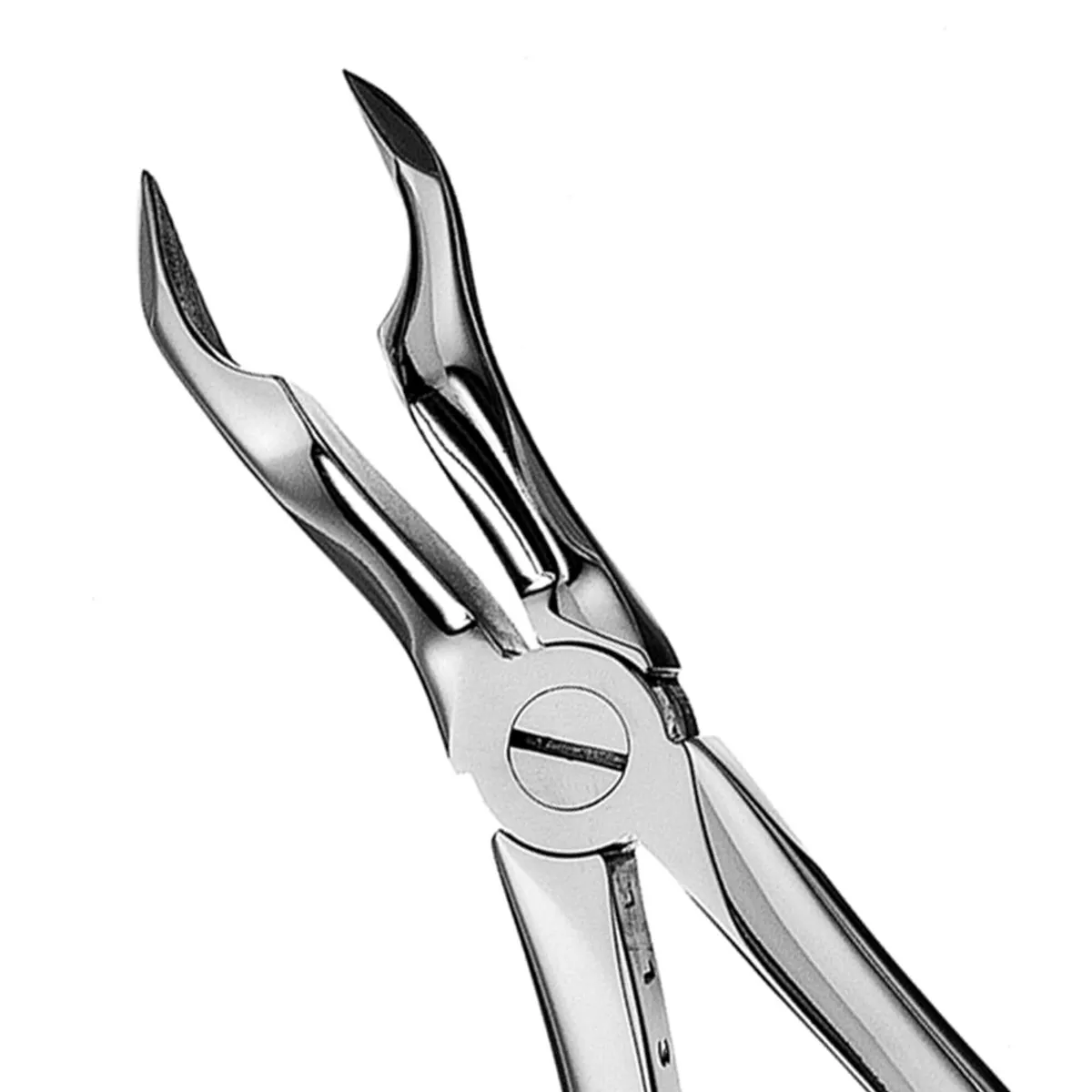 Apical Forceps #67A, European Style