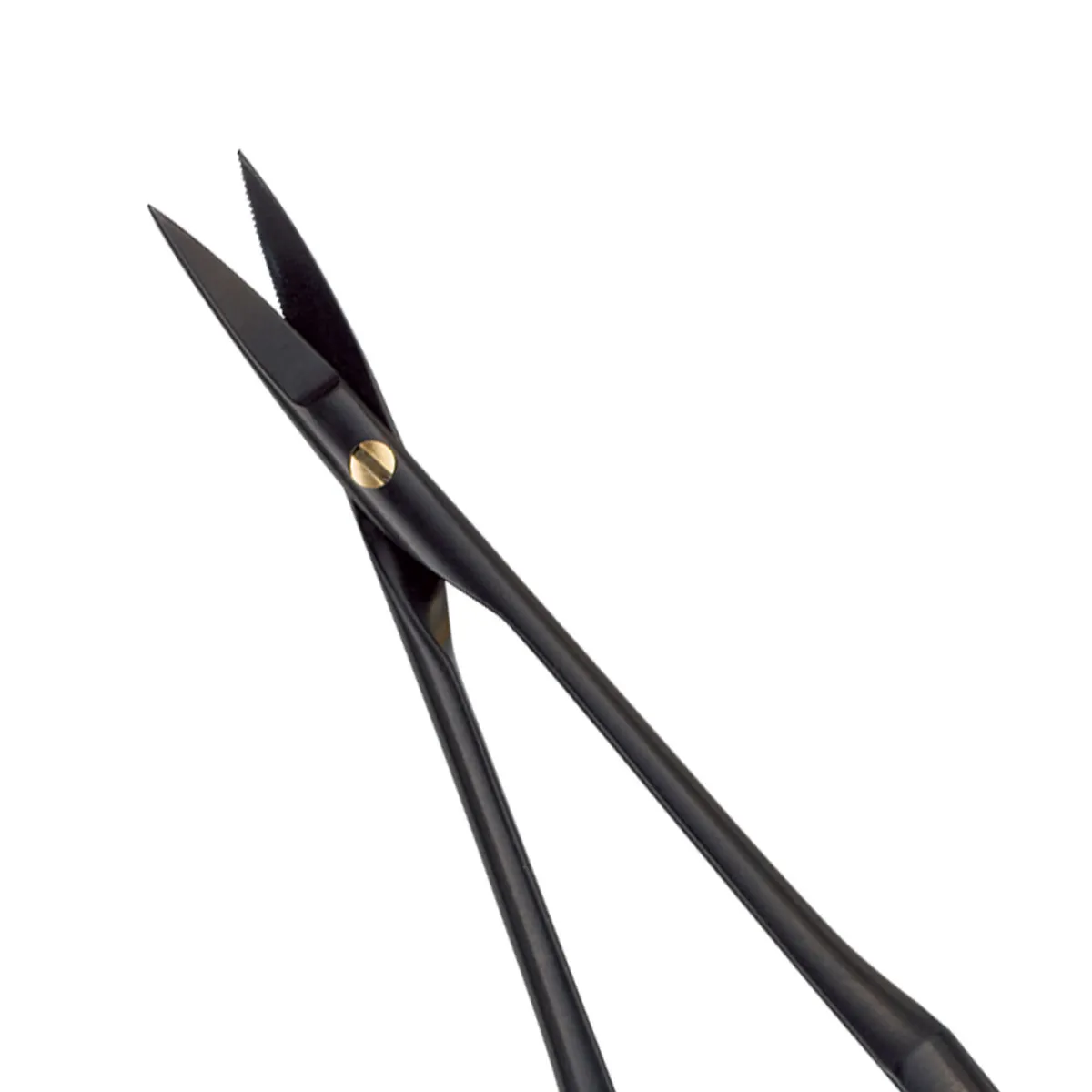 Castro Microsurgical, BlackLine
