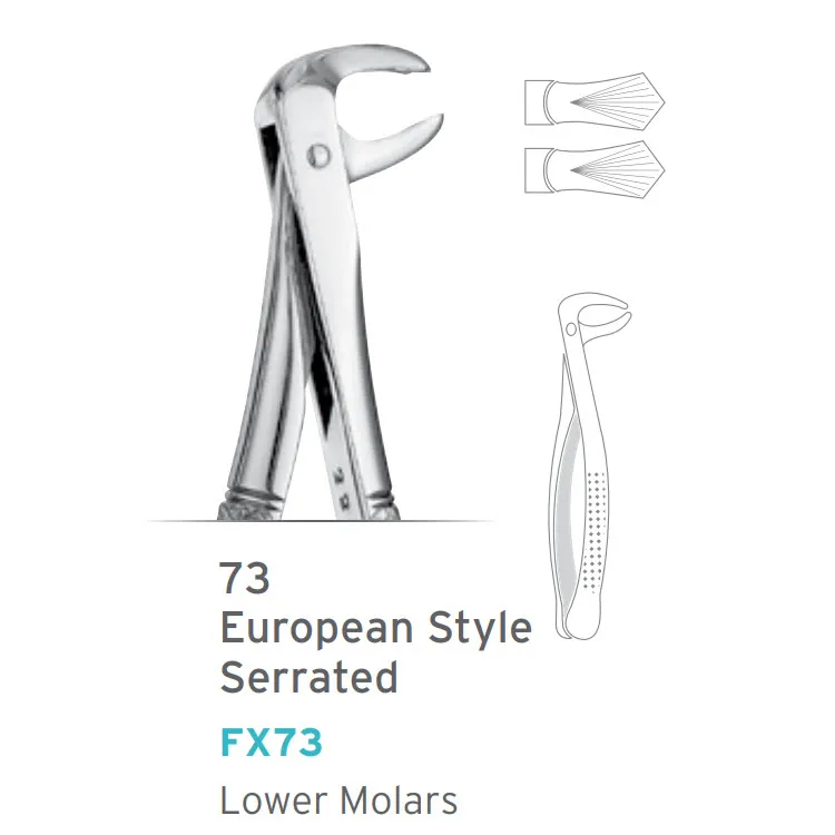 Lower Molars Forceps #73