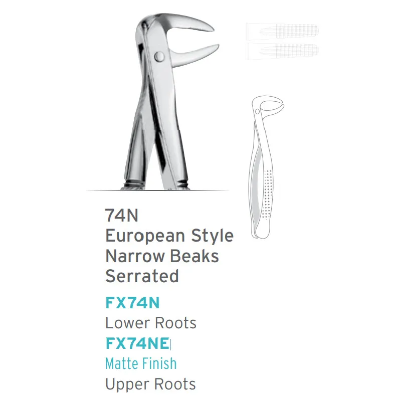 European Style Forceps #74N