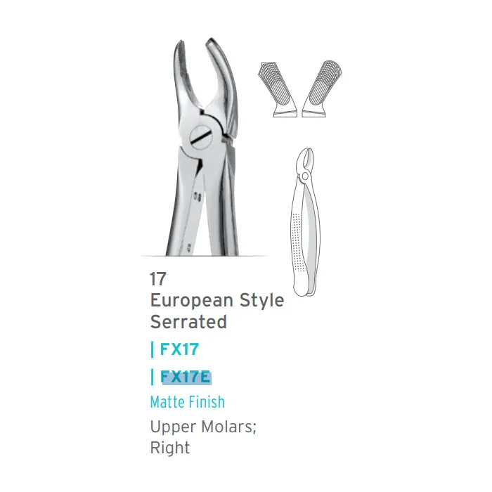 European Style Extraction Forceps #17