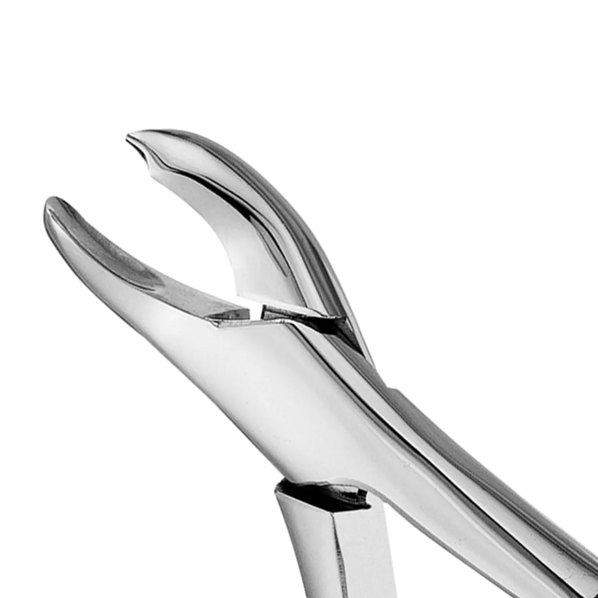 Harris Forceps, Thumb Hook Left Beak #18L
