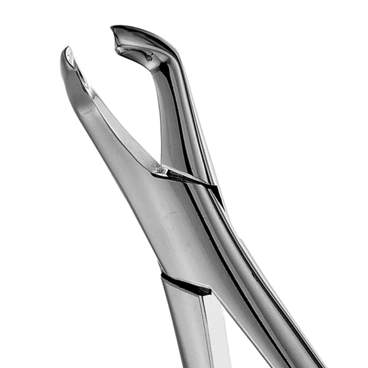 Lower 3rd Molar Extraction Forceps #222