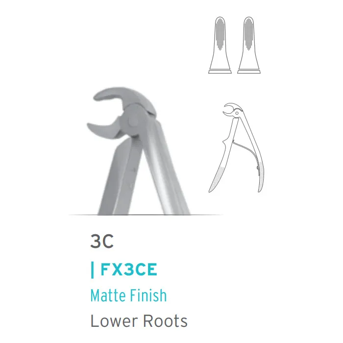 European Style Forceps #3C
