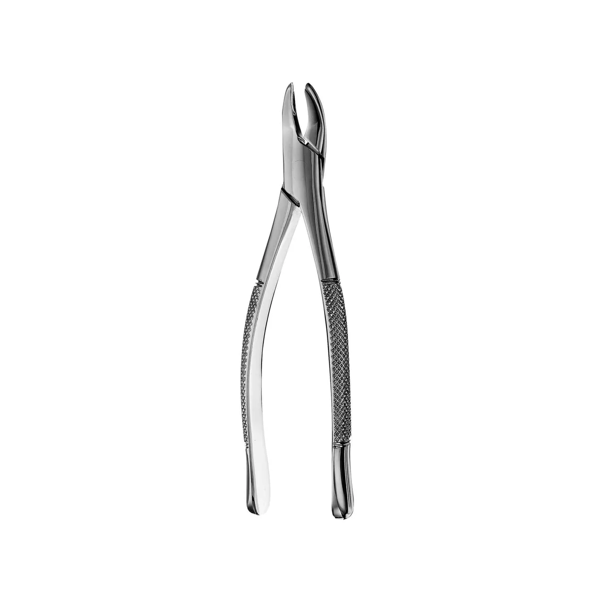 Upper/Lower Incisors, Canines, Premolars Forceps #62
