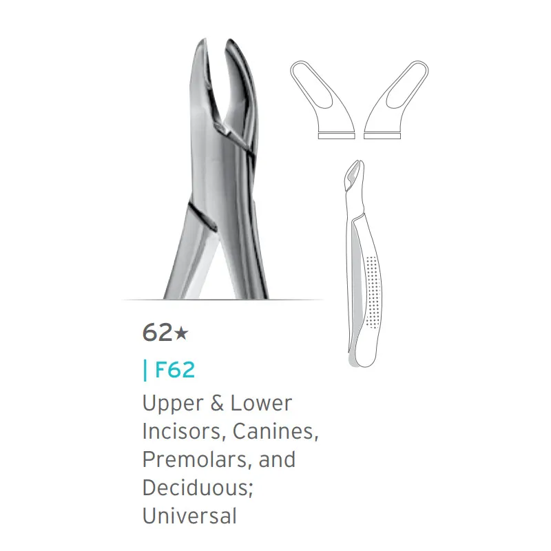 Upper/Lower Incisors, Canines, Premolars Forceps #62