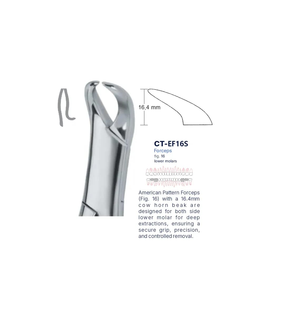Dental Extraction Forceps 16, Standard Handle
