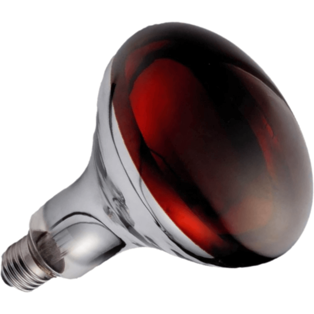 Infrared Heat Lamp, 250W