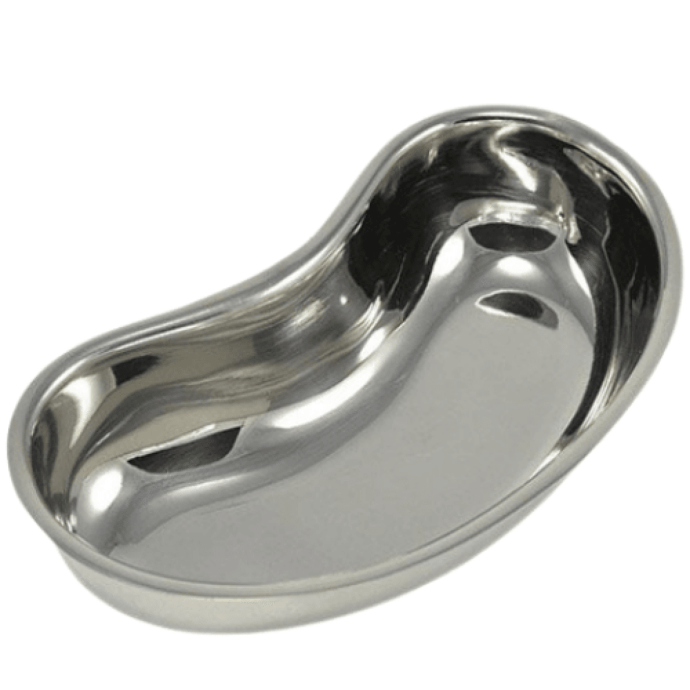 Kidney Dish, Stainless Steel