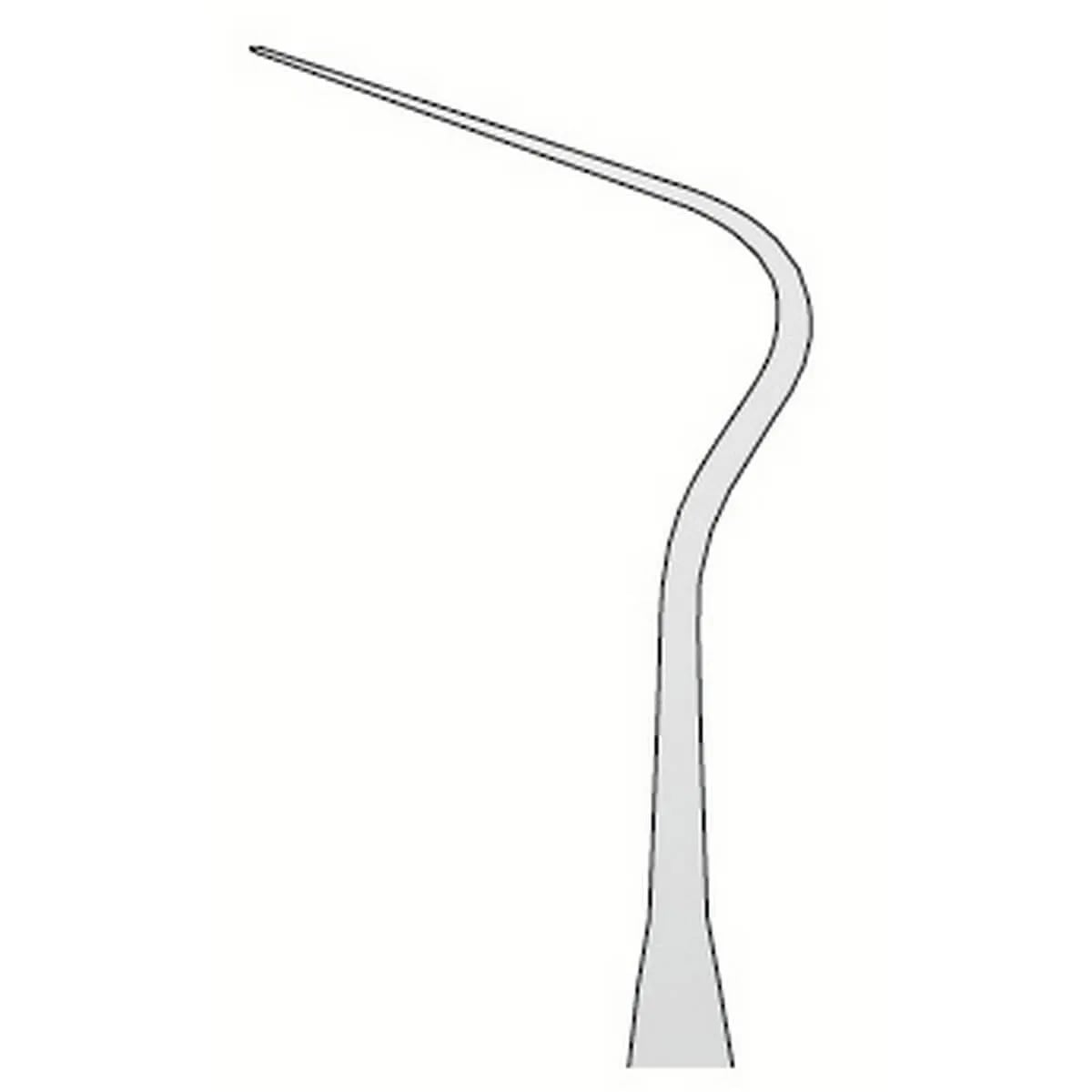 Explorer Anatomic N.8A