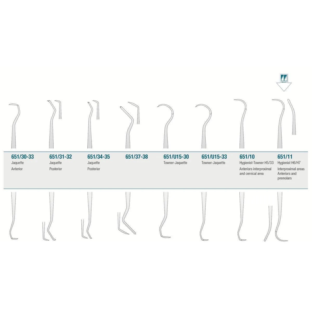 Scaler Hygienist H6/H7