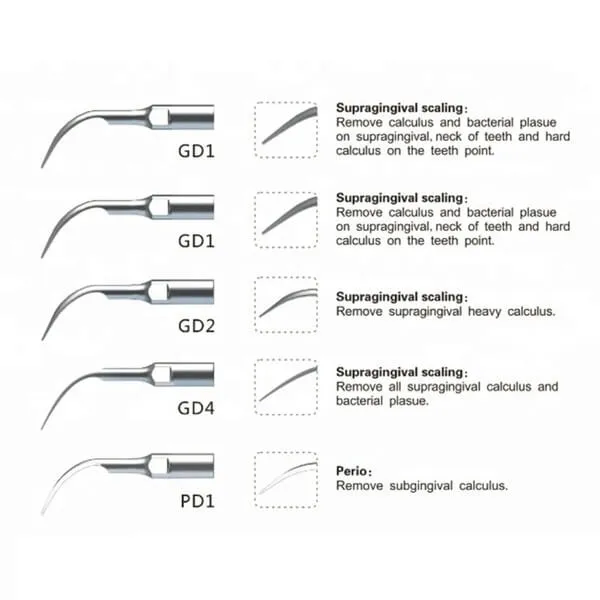 رأس مقشطة فوق صوتية (GD1*2,GD2,GD4,PD1) لـ NSK، DTE وActeon فقط