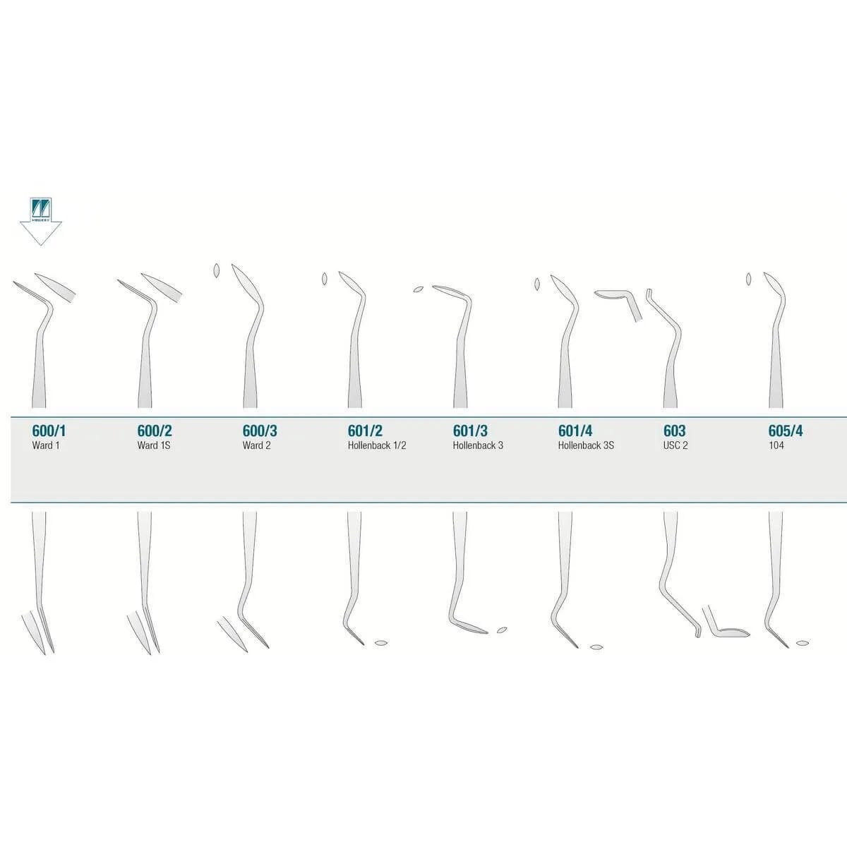Amalgam/Composite Carver Ward 1