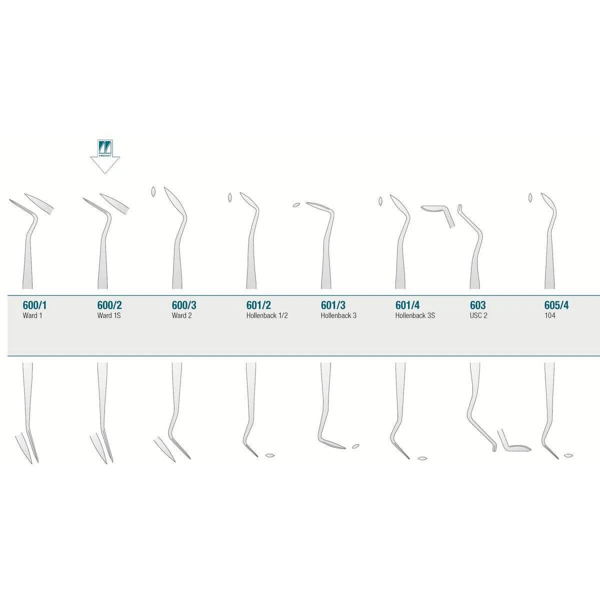 Amalgam/Composite Carver Ward 1S